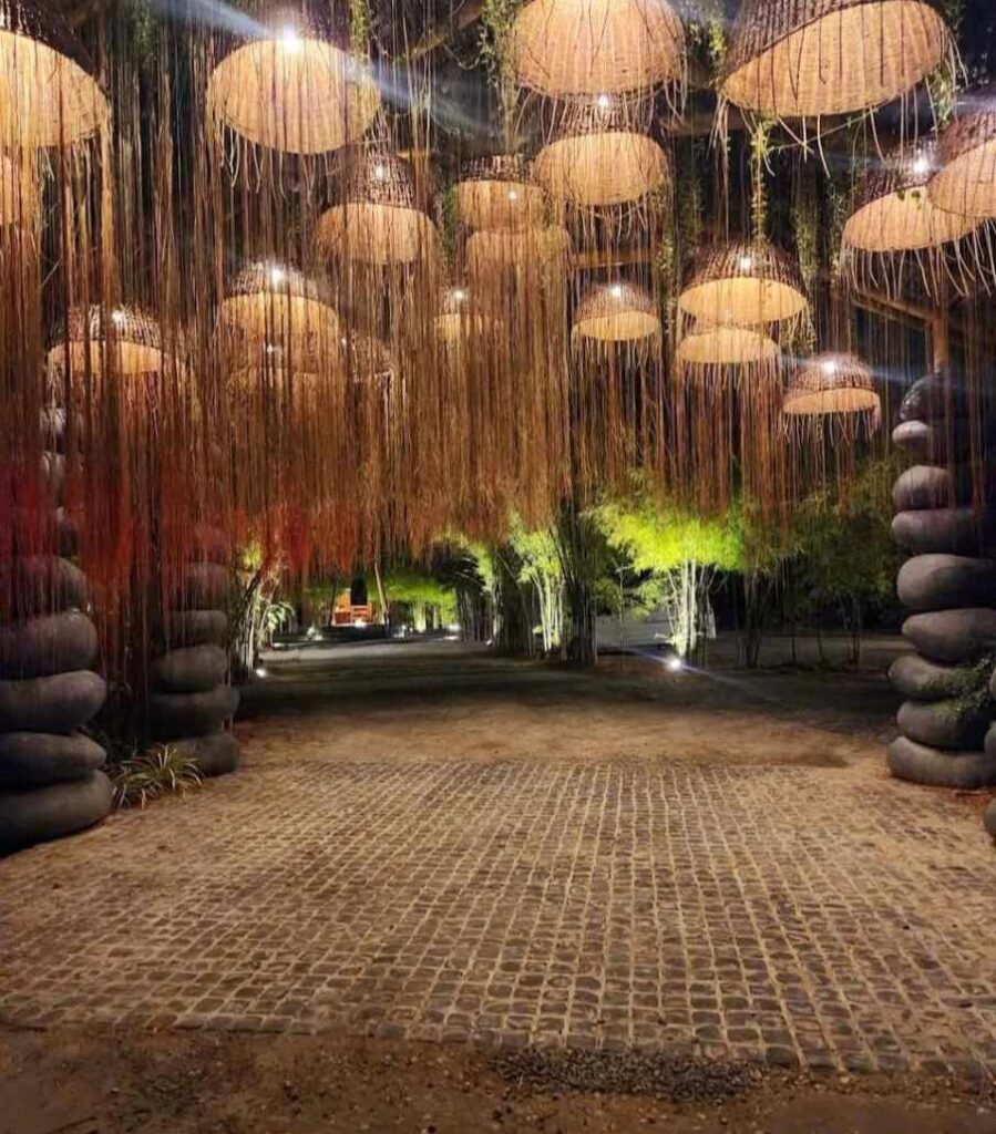Tropical pathways