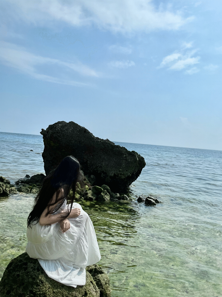 Untitled220 20241102103030