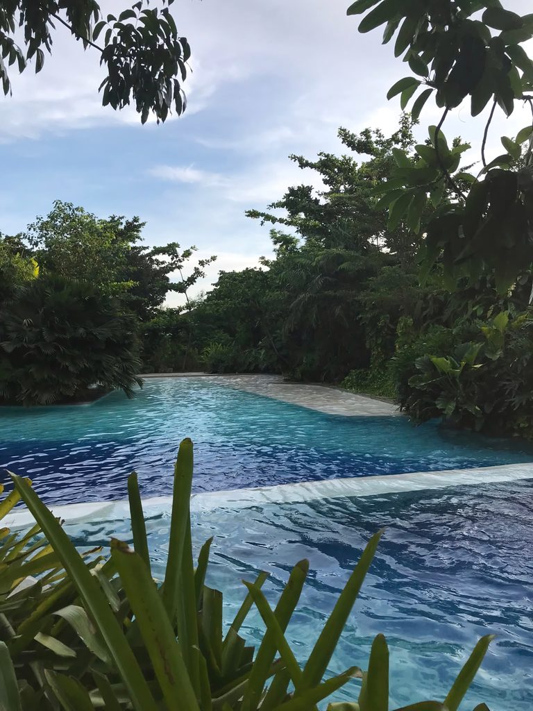 Tropical pool surrounded by trees at Tambuli