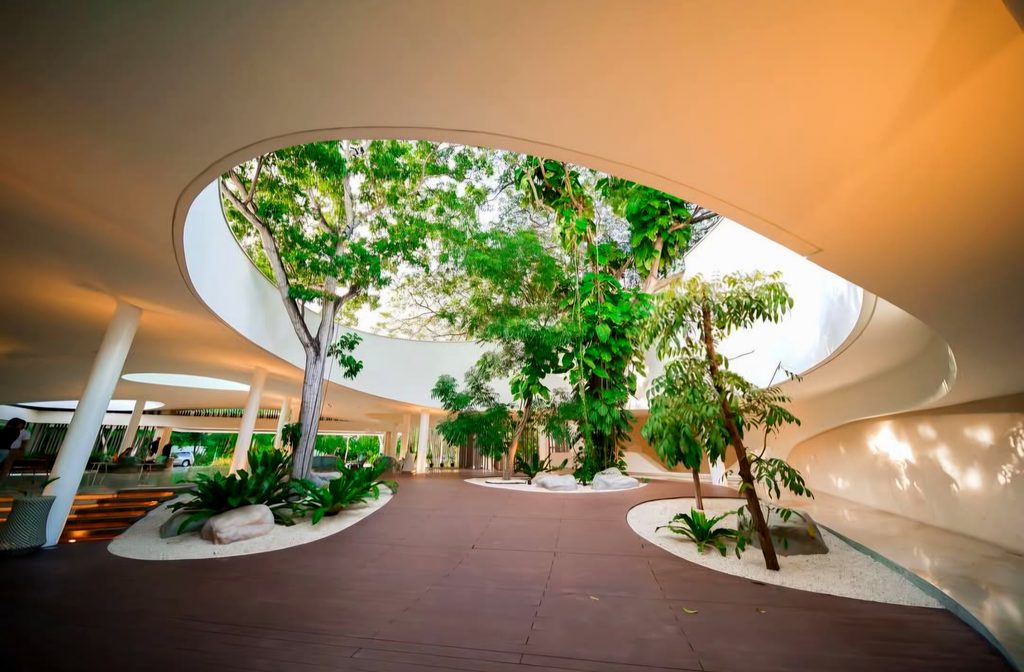 Landscaped walkway surrounded by trees at Tambuli Seaside Resort